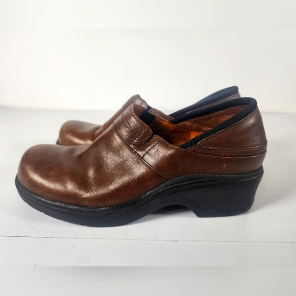 Ariat Shoes - Ariat Santa Cruz Clogs 93920